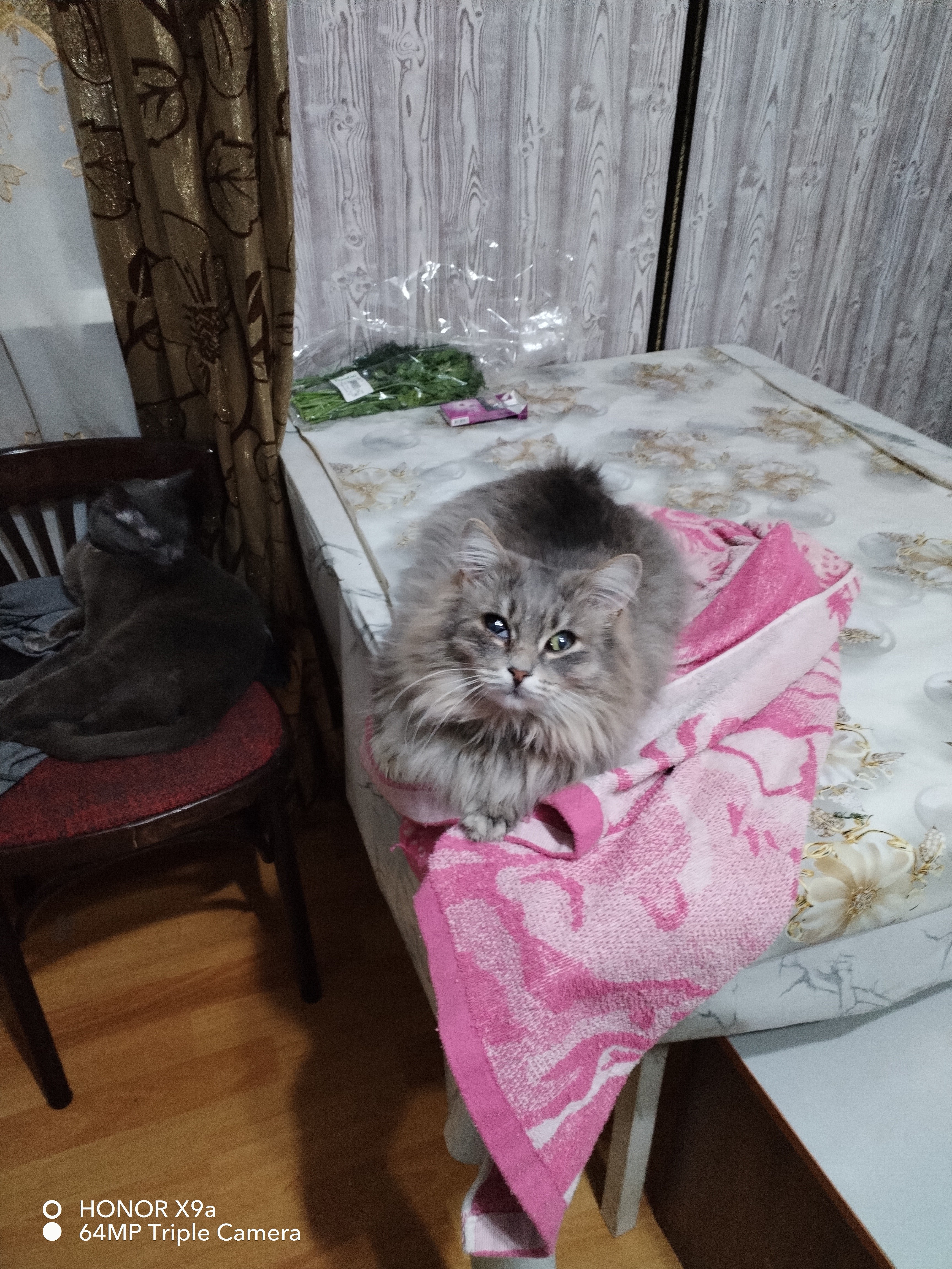Апсатарова Анна Шакуровна, г. Астана, 34 года