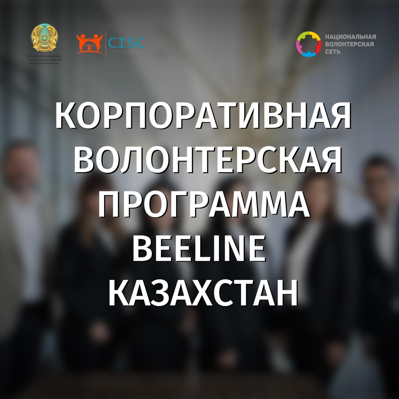 Корпоративная волонтерская программа Beeline Казахстан | Qazvolunteer